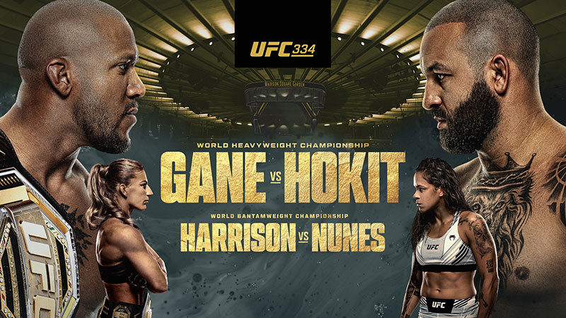 ufc 334